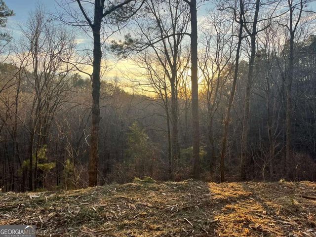 331 Paladin Drive NE, Ranger, GA 30734