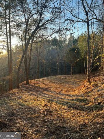 331 Paladin Drive NE, Ranger, GA 30734