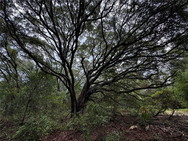 00 SE 115TH PLACE RD., Ocklawaha, FL 32179