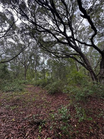 00 SE 115TH PLACE RD., Ocklawaha, FL 32179