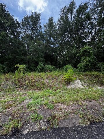 00 SE 115TH PLACE RD., Ocklawaha, FL 32179