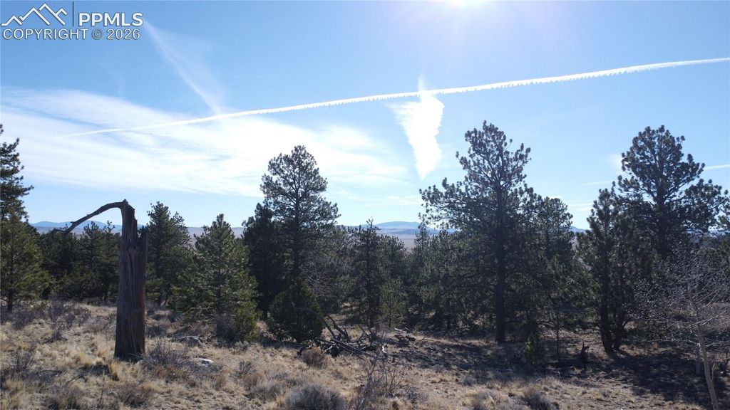 52 Bit Way, Hartsel, CO 80449 — exterior