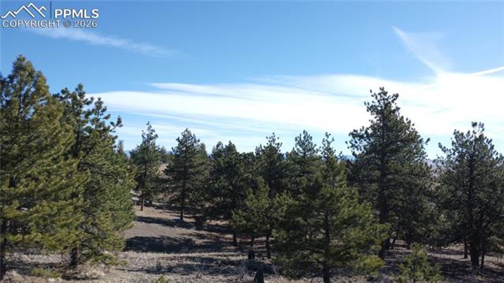 52 Bit Way, Hartsel, CO 80449 — photo 2