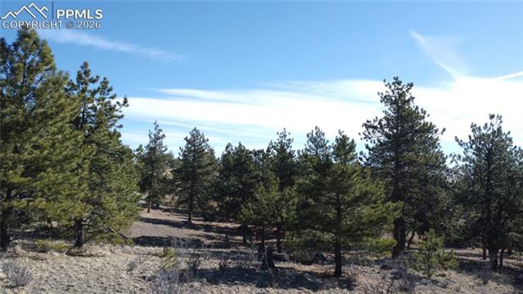 52 Bit Way, Hartsel, CO 80449 — photo 5