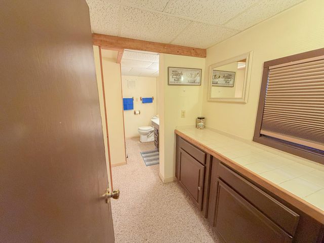 133 Maple Bluffs Avenue, Denton Twp, MI 48651