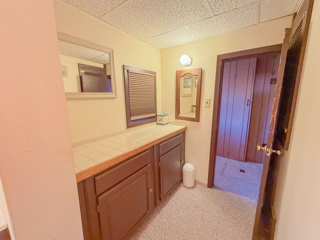 133 Maple Bluffs Avenue, Denton Twp, MI 48651