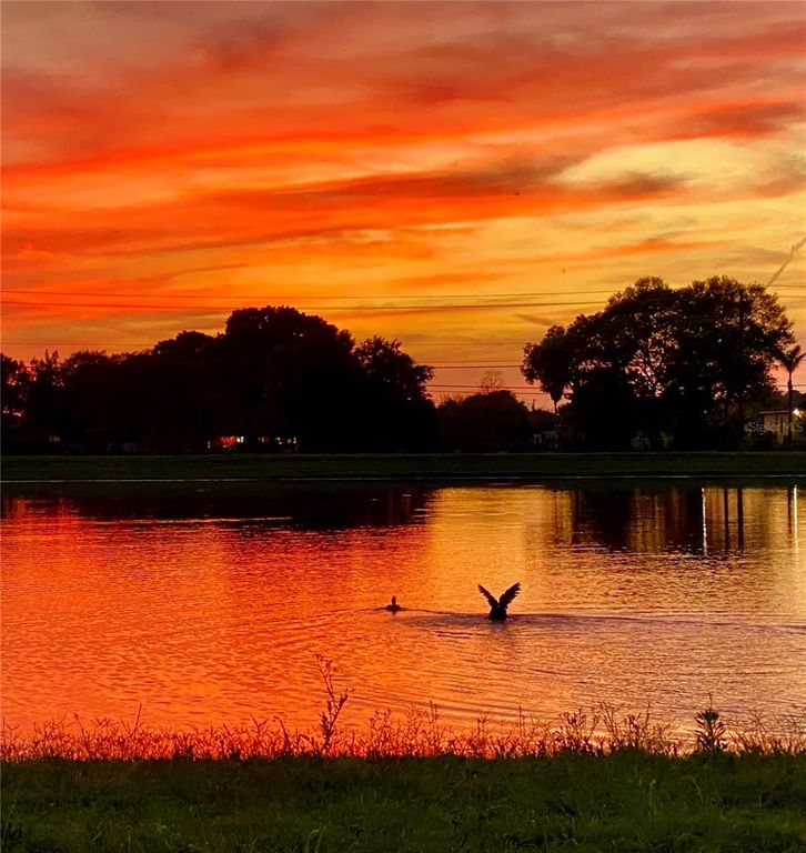 Image 49 of property listing at 3713 ROMANO BUSCIGLIO STREET, Tampa, FL 33619