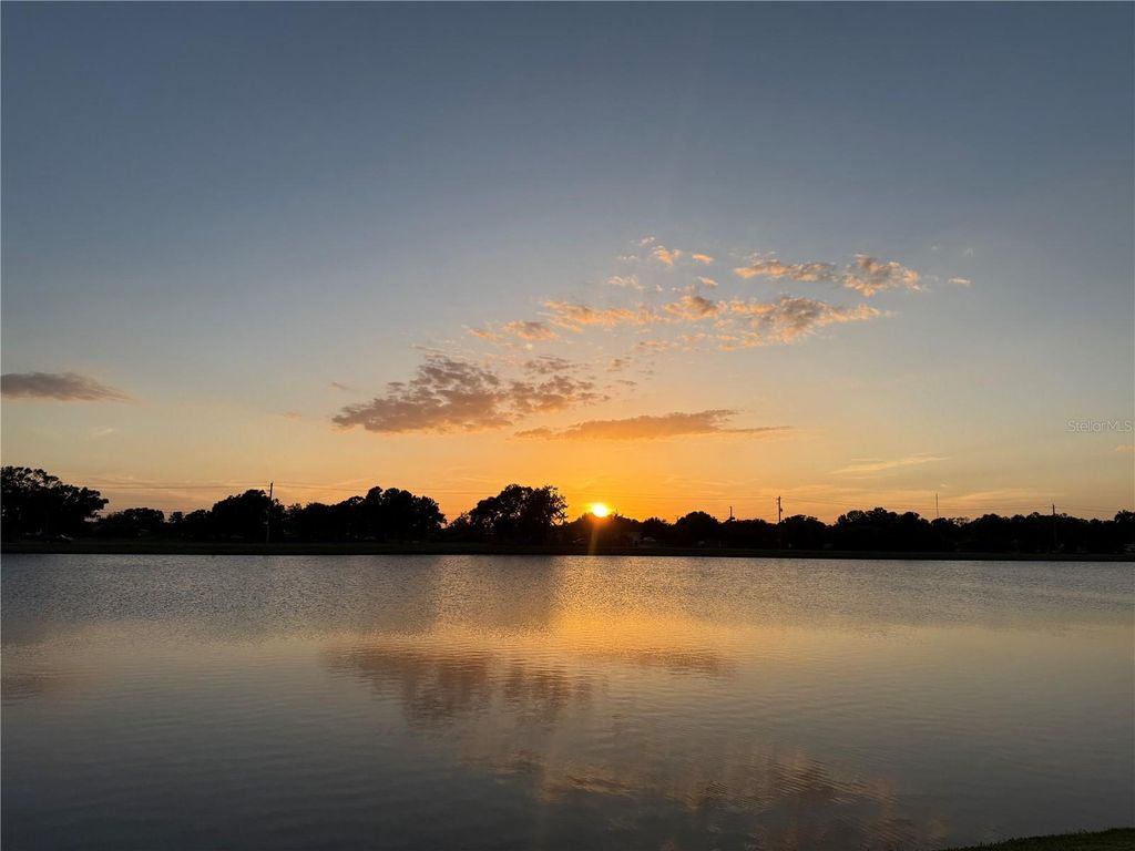 Image 53 of property listing at 3713 ROMANO BUSCIGLIO STREET, Tampa, FL 33619