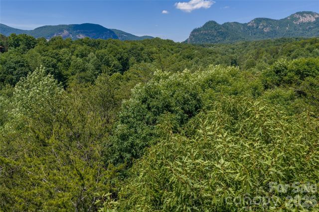 0000 View Trail, Lake Lure, NC 28746
