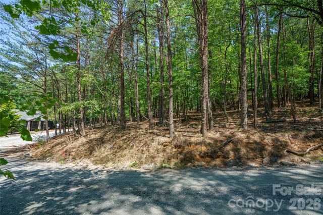 0000 View Trail, Lake Lure, NC 28746