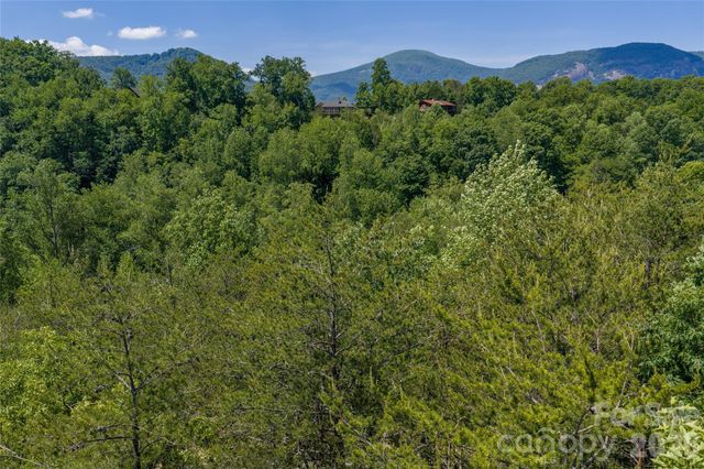 0000 View Trail, Lake Lure, NC 28746