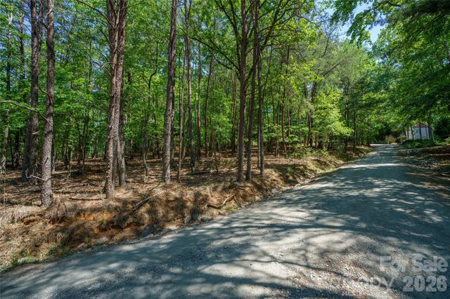 0000 View Trail, Lake Lure, NC 28746