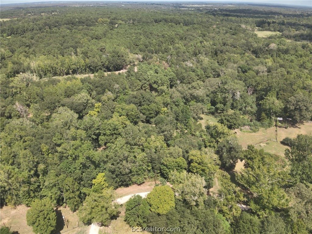 12.72 Acres CR 134 Bocaregra Road, Leona, TX 75850 — photo 3