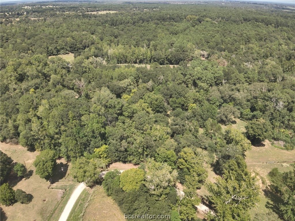 12.72 Acres CR 134 Bocaregra Road, Leona, TX 75850 — photo 4