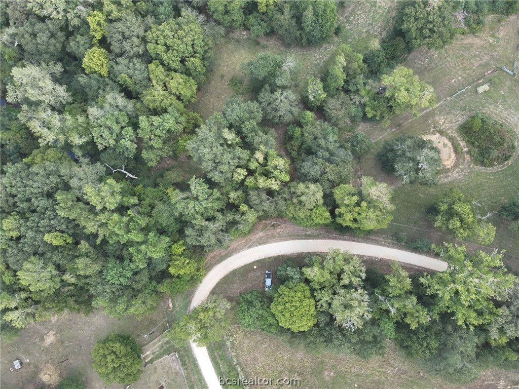 12.72 Acres CR 134 Bocaregra Road, Leona, TX 75850 — photo 5
