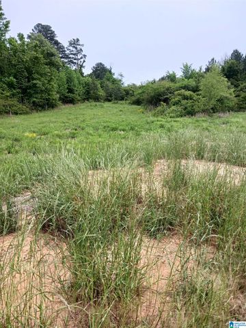 1991 NIXON ROAD, Bessemer, AL 35022