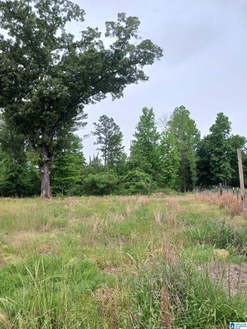 1991 NIXON ROAD, Bessemer, AL 35022