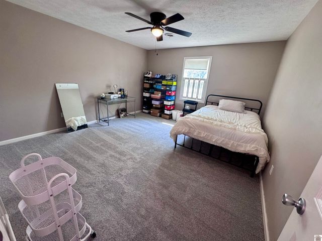 3 Groveway Blvd., Paducah, KY 42001