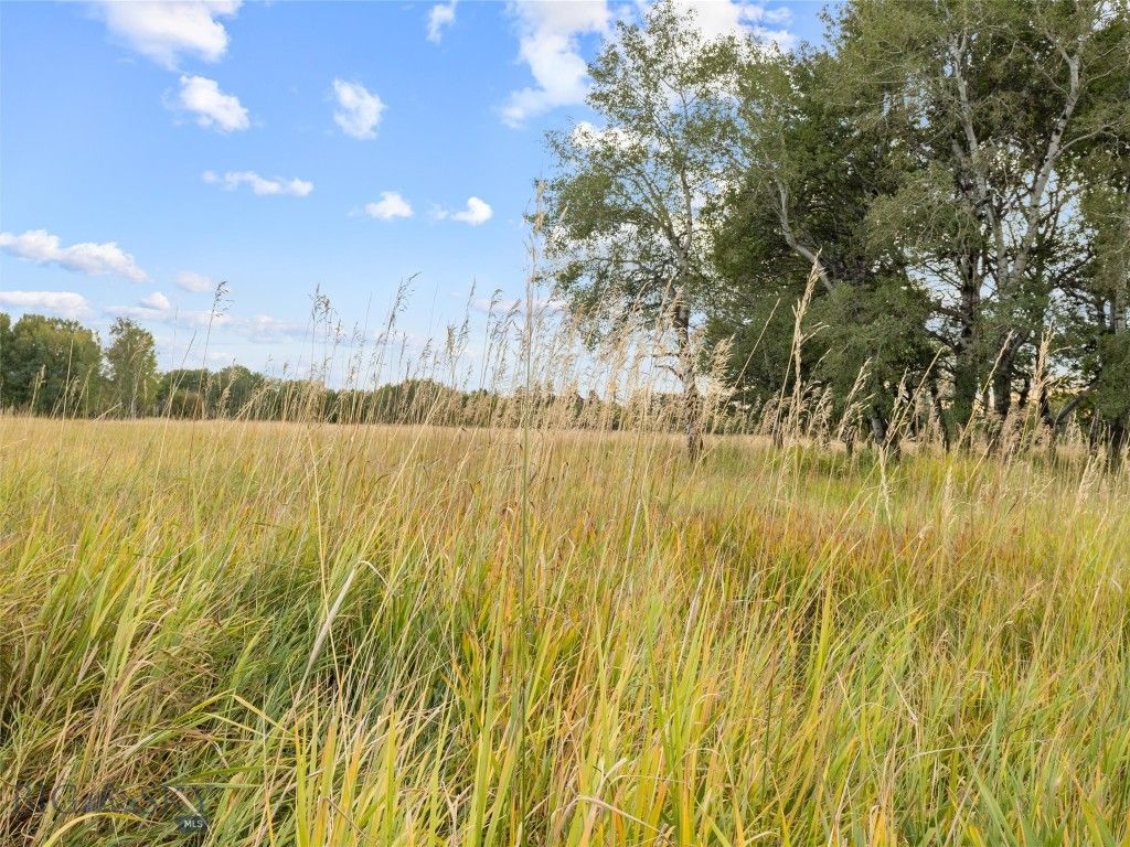TBD Springhill Community Road, Belgrade, MT 59714 photo 15