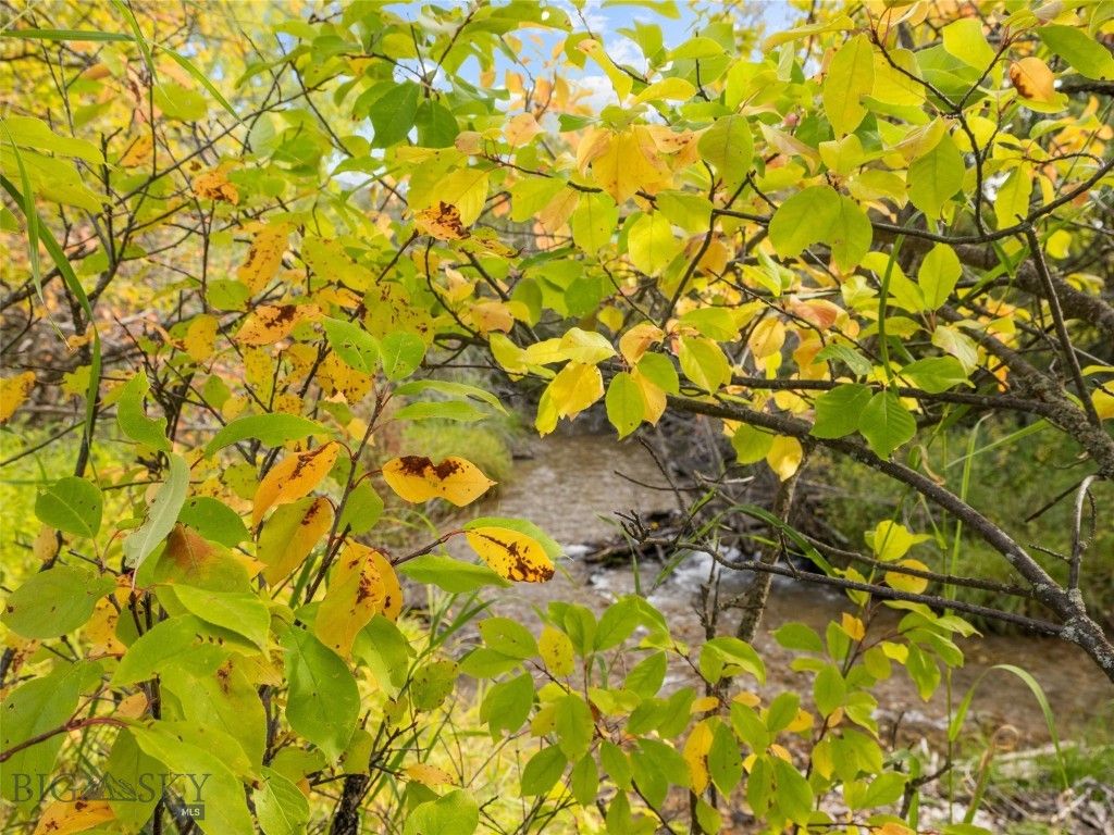 TBD Springhill Community Road, Belgrade, MT 59714 photo 3