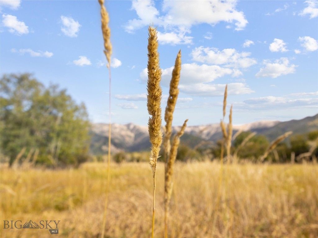 TBD Springhill Community Road, Belgrade, MT 59714 photo 39