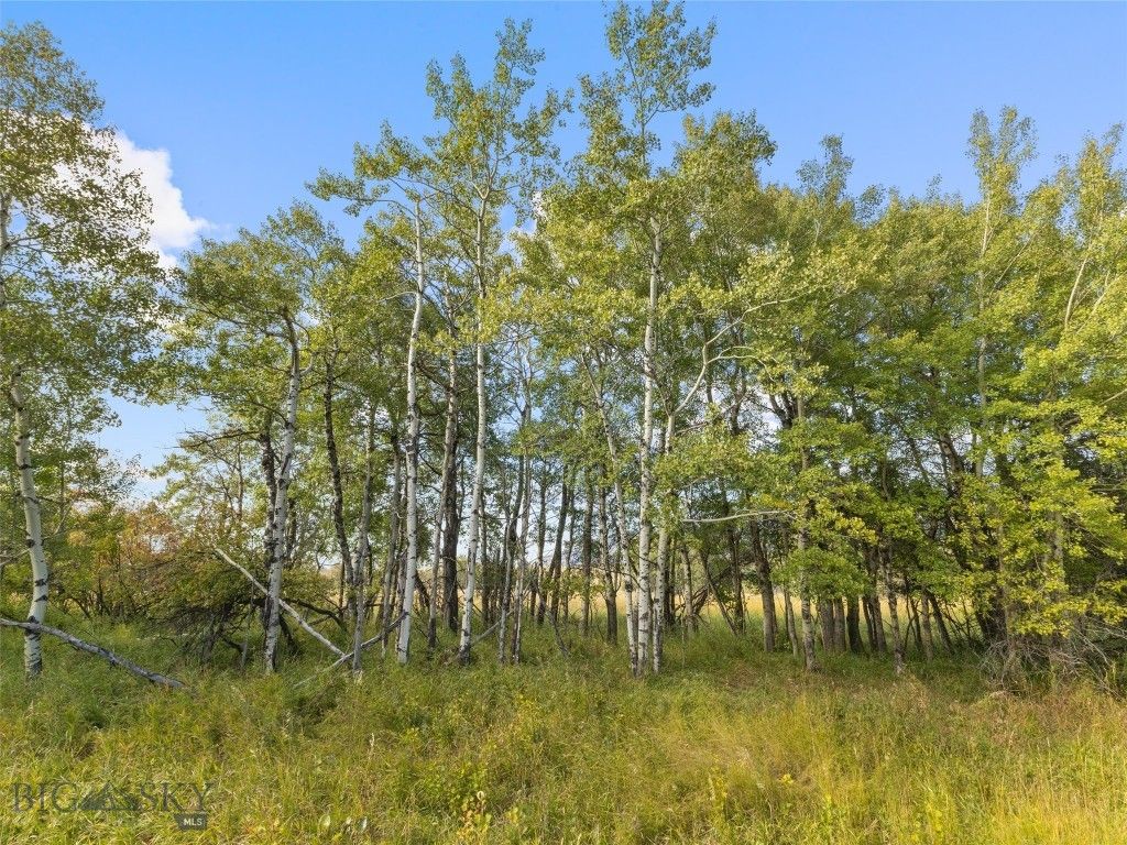 TBD Springhill Community Road, Belgrade, MT 59714 photo 44