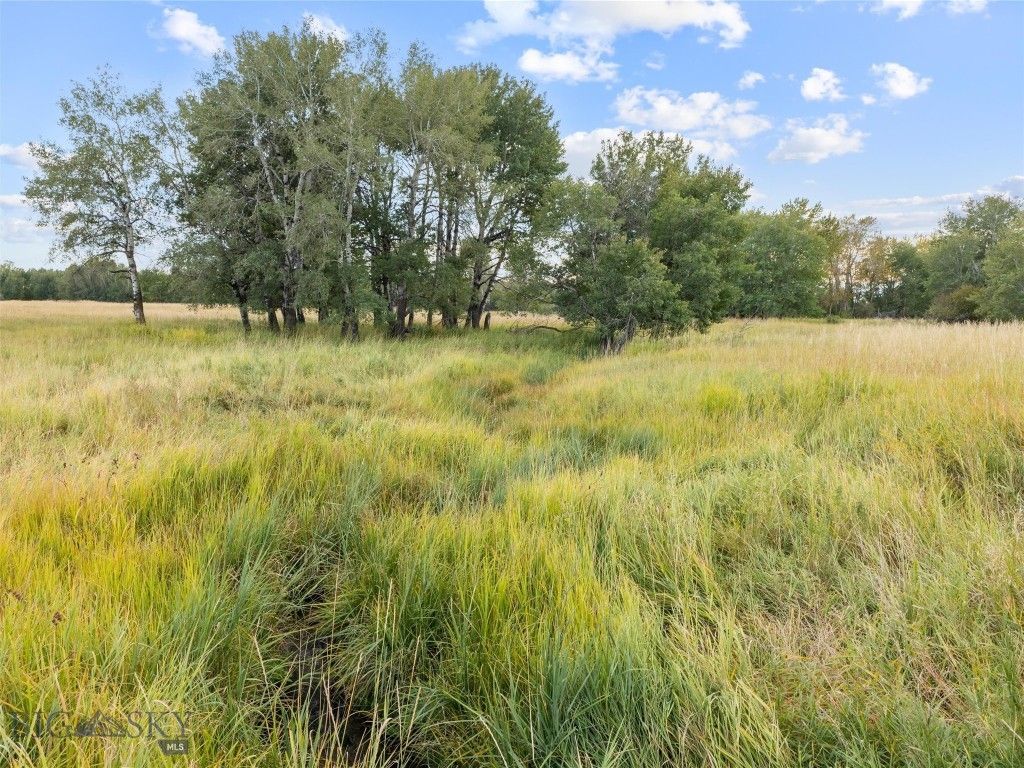 TBD Springhill Community Road, Belgrade, MT 59714 photo 8
