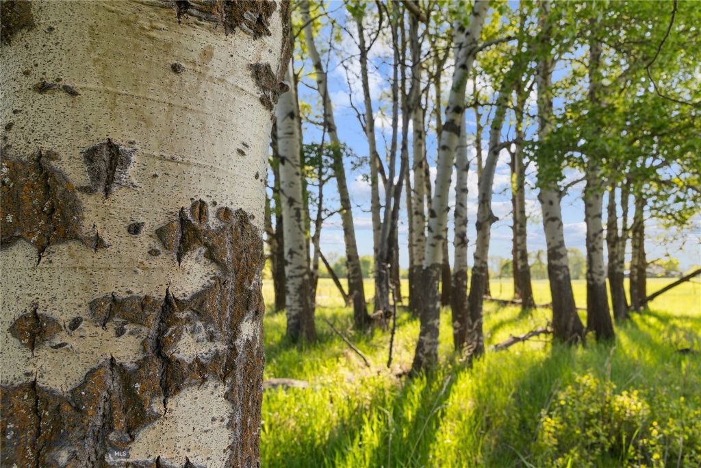 TBD Springhill Community Road, Belgrade, MT 59714 photo 84
