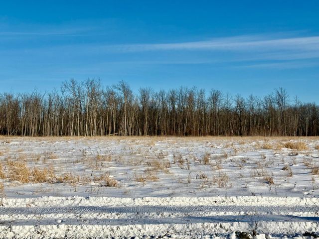 970 County Road 89, Baudette, MN 56623