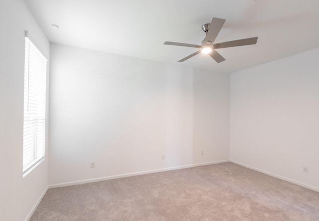 705 Western Fern, League City, TX 77573