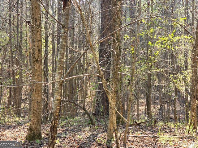 0 Willis Glenn Rd, Hull, GA 30646