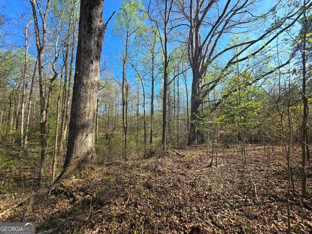 0 Willis Glenn Rd, Hull, GA 30646