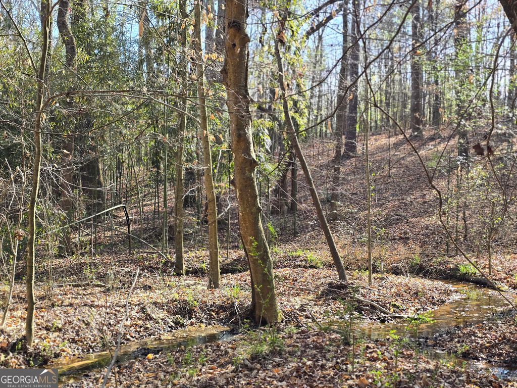 0 Willis Glenn Rd, Hull, GA 30646