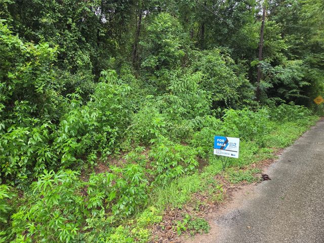 01 Martin Luther King Street, Cleveland, TX 77327