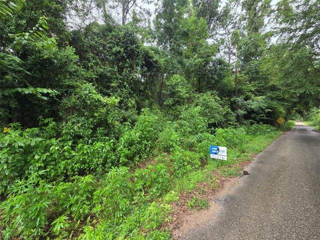 01 Martin Luther King Street, Cleveland, TX 77327