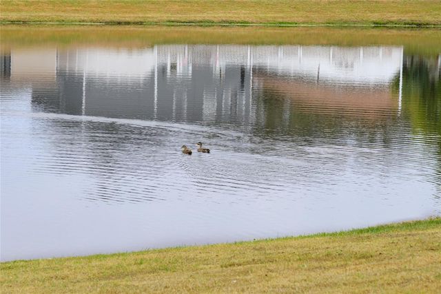 13484 APPLEROSE LANE 20, Orlando, FL 32824