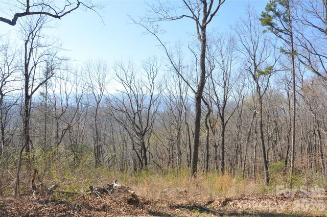 TBD Mountain Crest Drive S 41, Marion, NC 28752