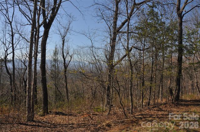 TBD Mountain Crest Drive S 41, Marion, NC 28752