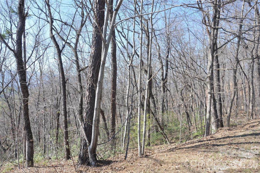 TBD Mountain Crest Drive S 41, Marion, NC 28752