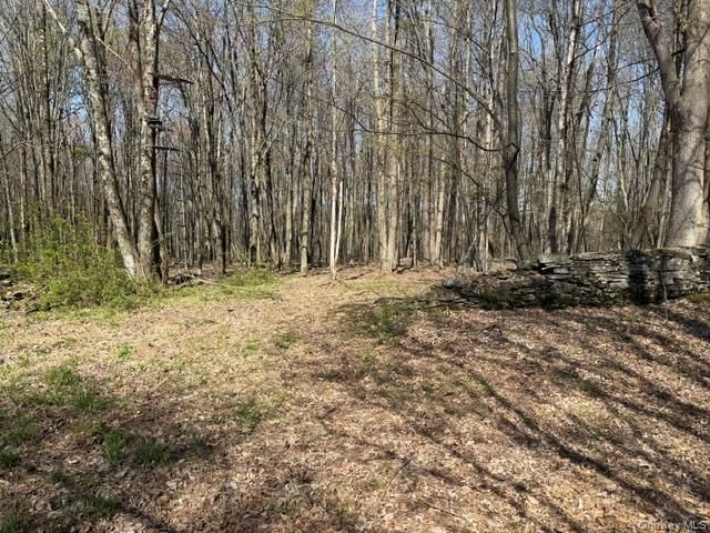 CHAFFEE, Liberty, NY 12754