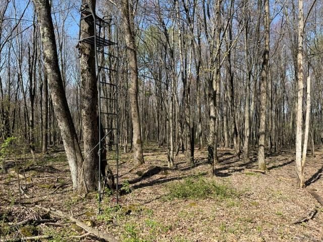CHAFFEE, Liberty, NY 12754
