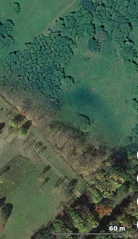 CHAFFEE, Liberty, NY 12754