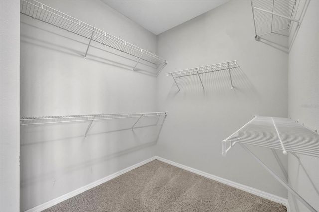 529 PIAZZA POINT, Oviedo, FL 32765