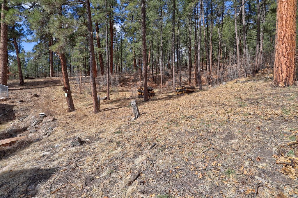 Image 47 of property listing at 831 Sulphur Creek Road, Jemez Springs, NM 87025