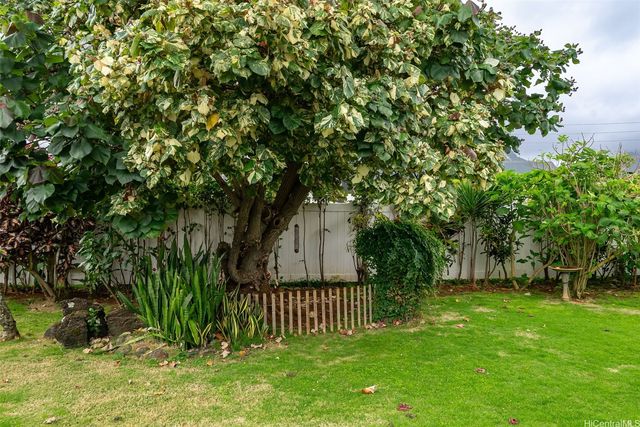 554 Ulukanu Street, Kailua, HI 96734