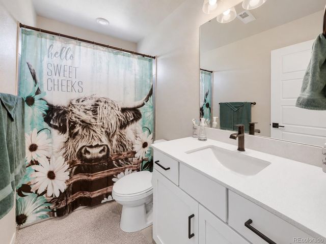 3835 Sandy Vista Trail, Castle Rock, CO 80104