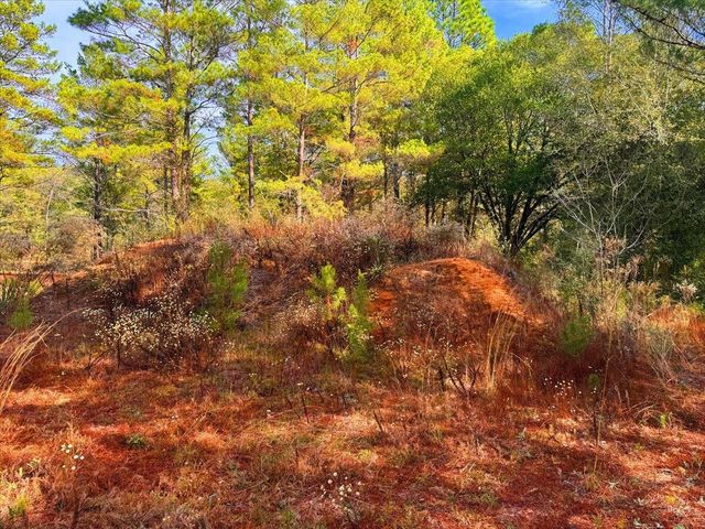 178 Osage Drive, Defuniak Springs, FL 32433