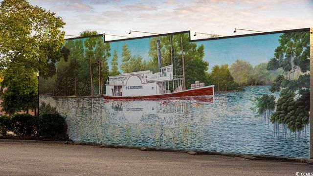 318 Black Gum Dr., Conway, SC 29527