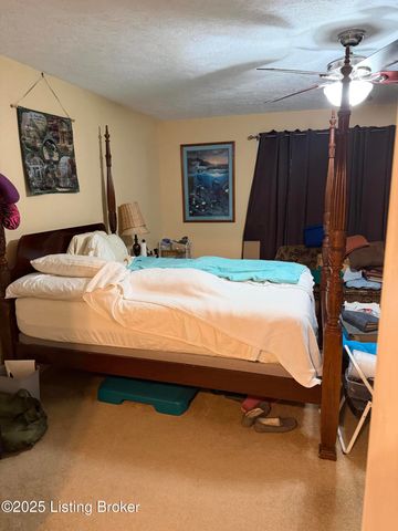 845 DE Brown Rd, Brandenburg, KY 40108