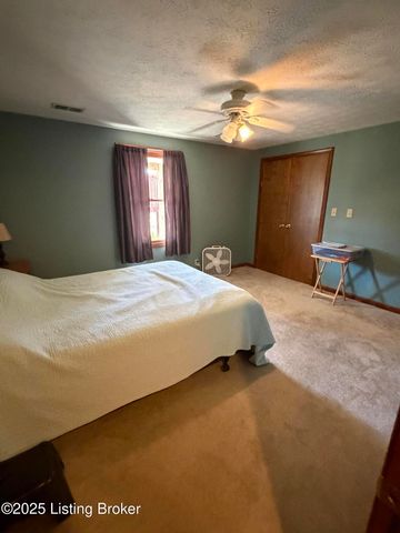 845 DE Brown Rd, Brandenburg, KY 40108